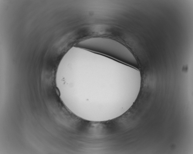 X0000112540376200909141318