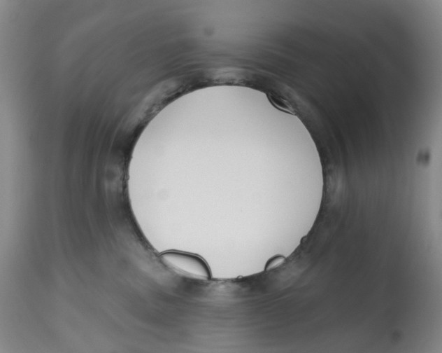 X0000112540379200909141318