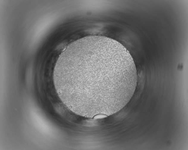 X0000112540381200909141318