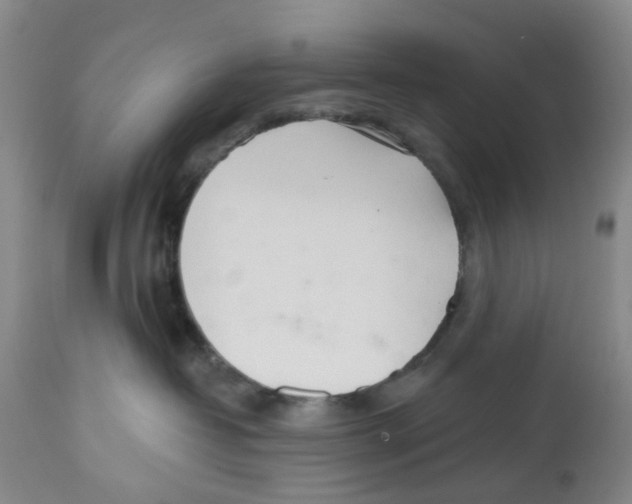 X0000112540382200909141318