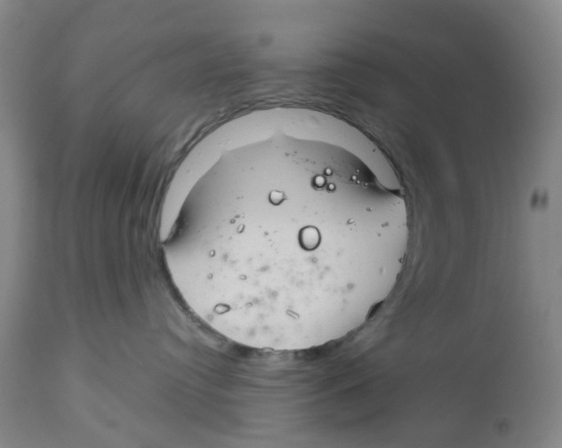 X0000112540384200909141318