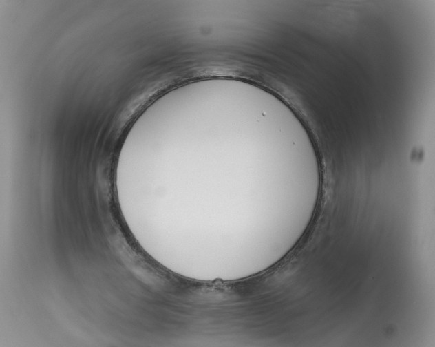 X0000112540386200909141317
