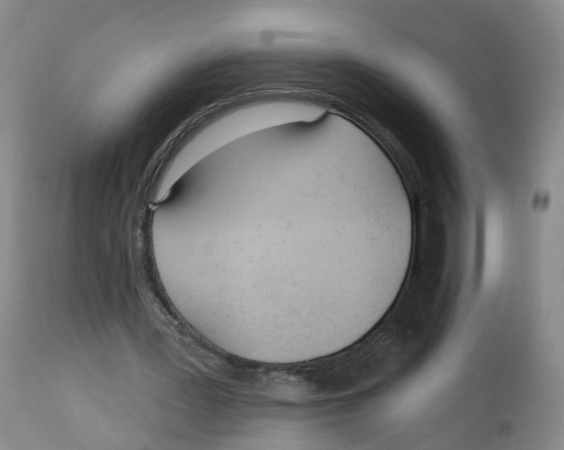 X0000112540387200909141317