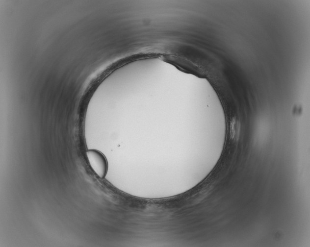 X0000112540388200909141317