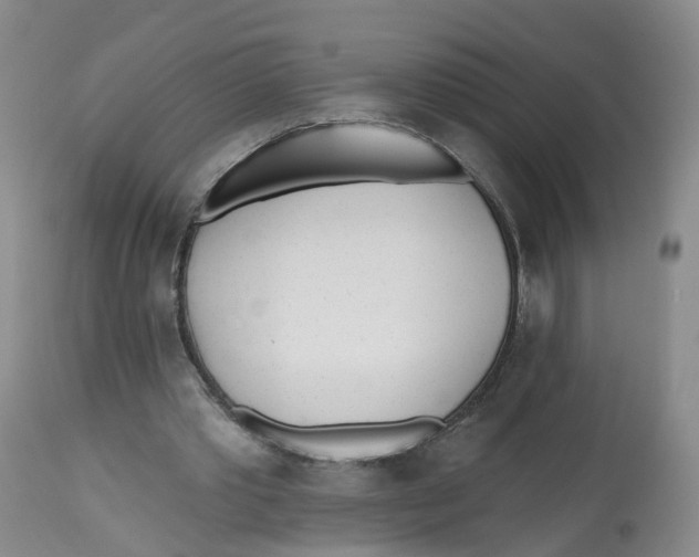 X0000112540389200909141317