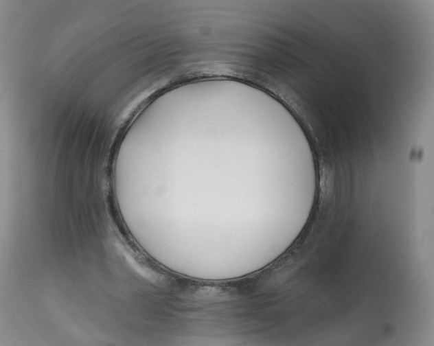 X0000112540390200909141317