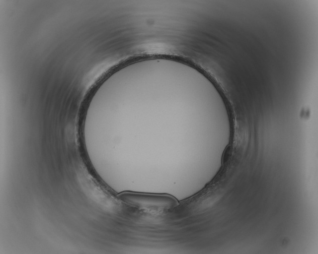 X0000112540391200909141317