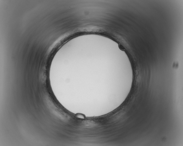 X0000112540392200909141317