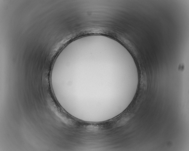 X0000112540394200909141317