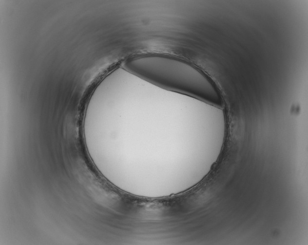 X0000112540395200909141317