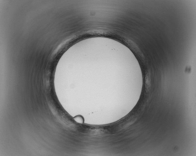 X0000112540396200909141317