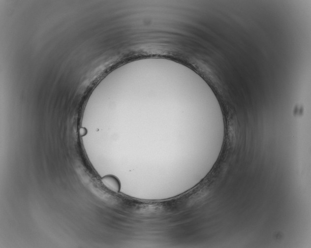 X0000112540398200909141317