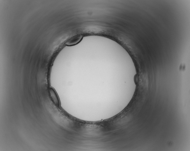 X0000112540399200909141317
