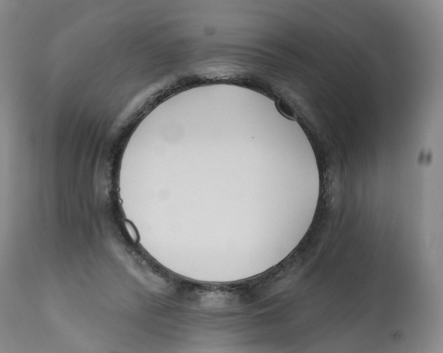 X0000112540400200909141317