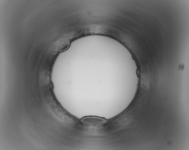 X0000112540401200909141317