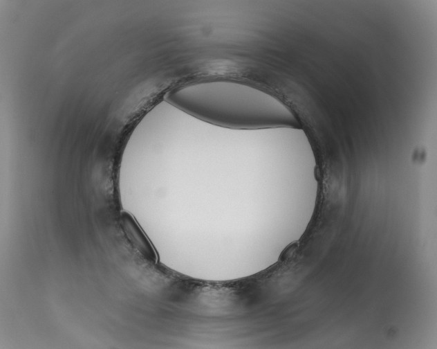 X0000112540403200909141317