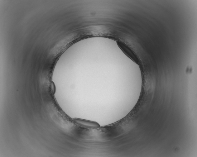X0000112540405200909141317