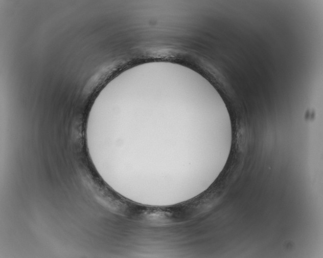 X0000112540407200909141317