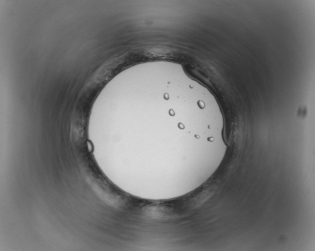 X0000112540408200909141317