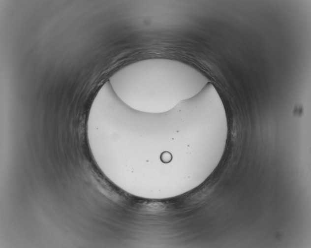X0000112540409200909141317