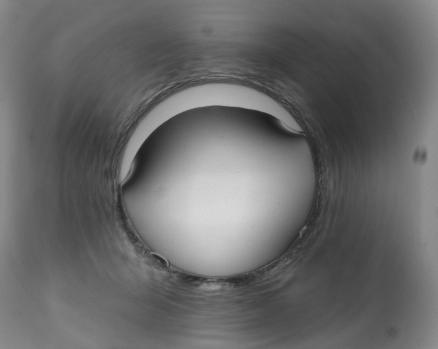 X0000112540415200909141317