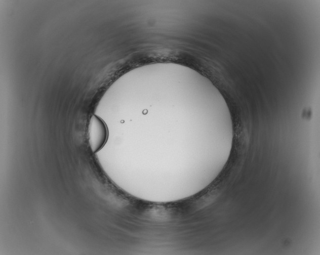X0000112540416200909141317