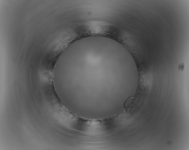 X0000112540419200909141317
