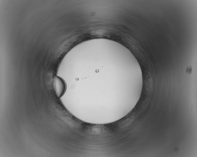 X0000112540420200909141317