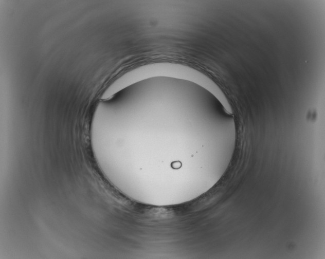 X0000112540421200909141317