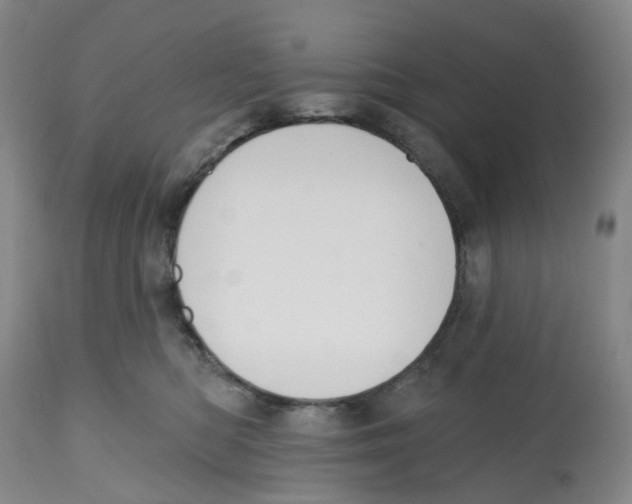 X0000112540422200909141317