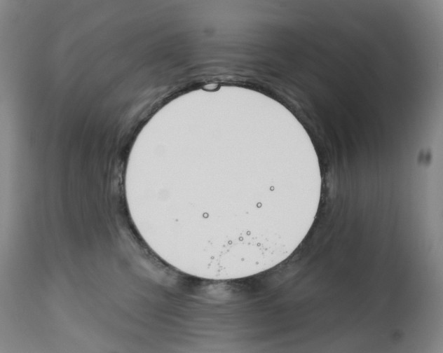 X0000112540423200909141316