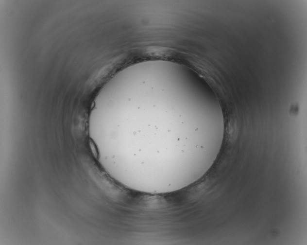 X0000112540424200909141316