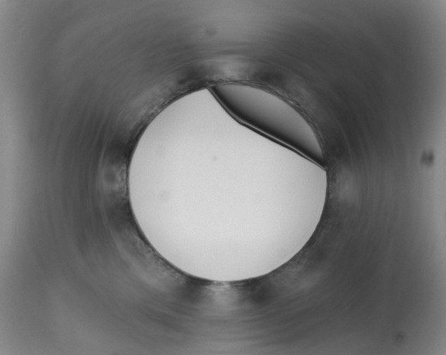 X0000112540425200909141316