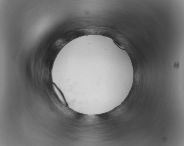 X0000112540429200909141316
