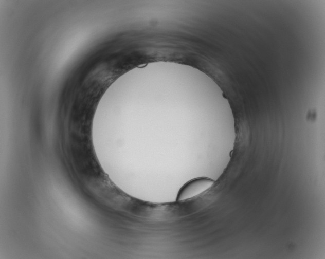 X0000112540430200909141316