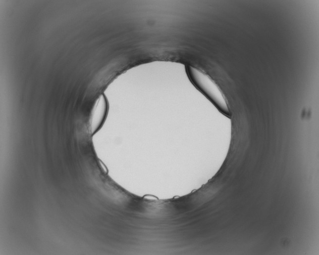 X0000112540432200909141316