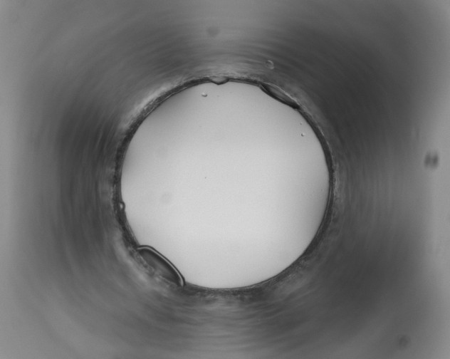 X0000112540434200909141316