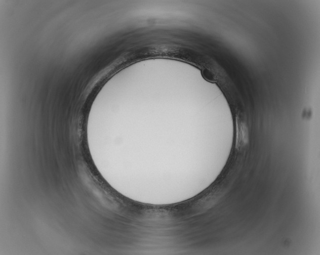 X0000112540435200909141316
