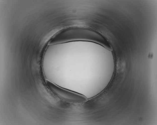 X0000112540436200909141316