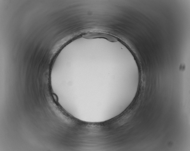 X0000112540437200909141316