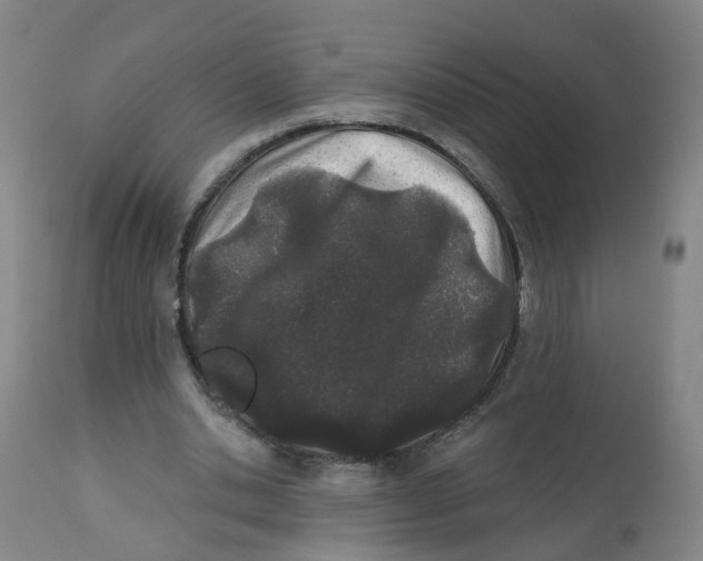 X0000112540438200909141316