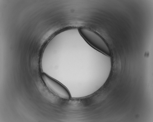 X0000112540440200909141316