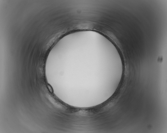 X0000112540441200909141316