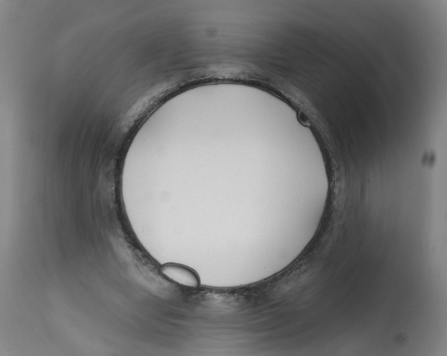X0000112540442200909141316