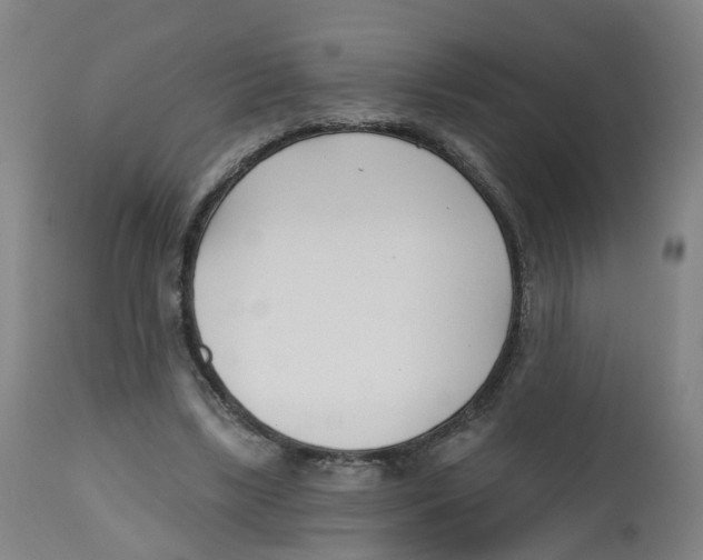 X0000112540443200909141316