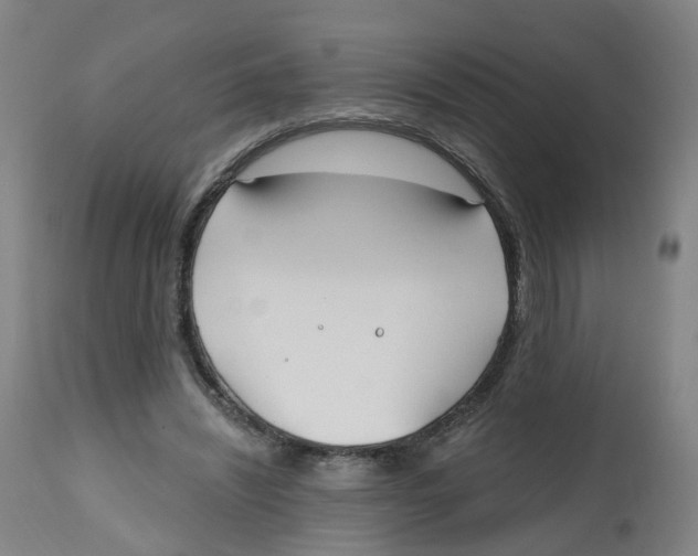 X0000112540444200909141316