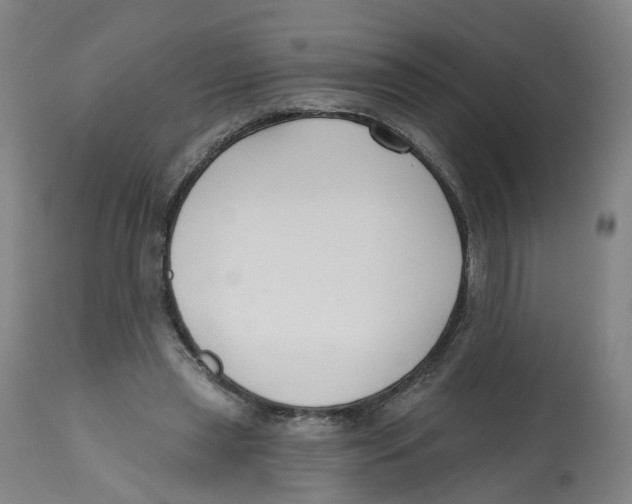 X0000112540445200909141316