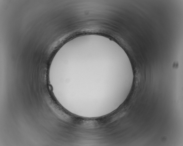 X0000112540446200909141316