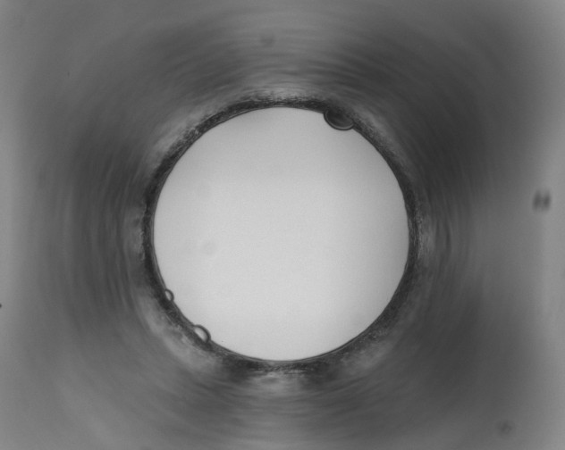 X0000112540447200909141316