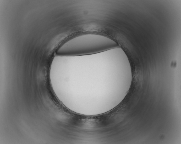 X0000112540448200909141316